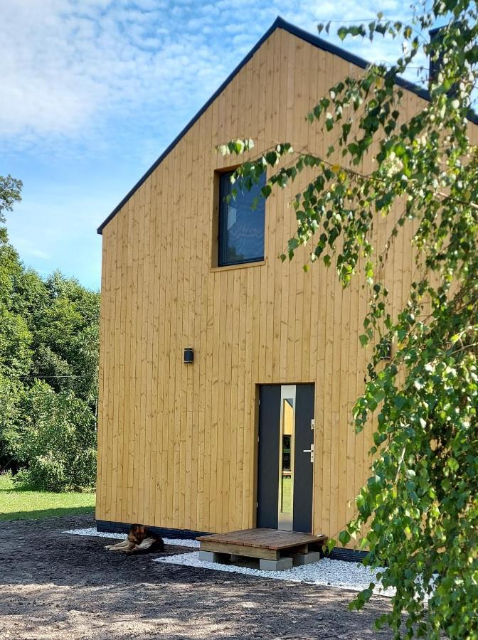 Dom Przy Lesie Villa Wielgie Exterior photo